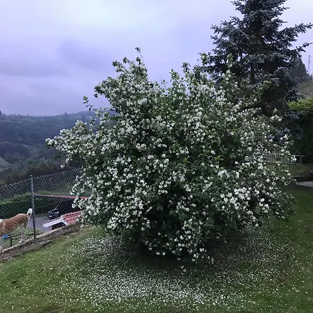 Holiday home La Atalaya Gijon